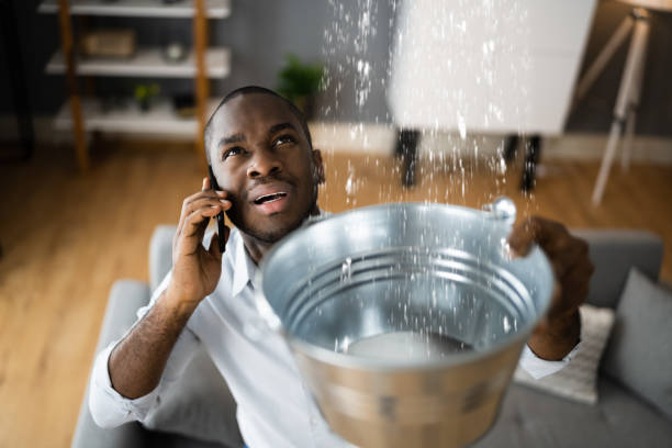 Best Water damage restoration near me  in Jemez Pueblo, NM