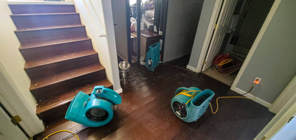 Best Emergency water damage restoration  in Jemez Pueblo, NM