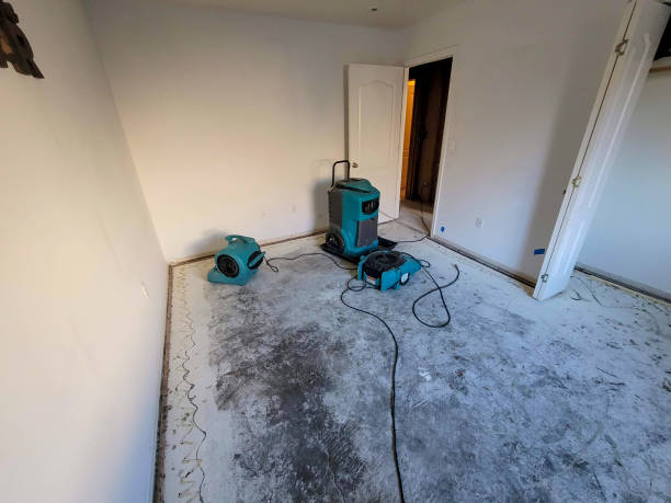Best Professional water damage repair  in Jemez Pueblo, NM
