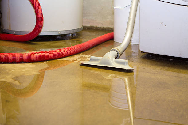 Best Fire Damage Restoration  in Jemez Pueblo, NM
