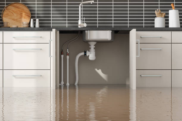 Best Flooded house restoration  in Jemez Pueblo, NM